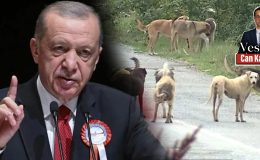 “Sokak ya da Ölüm” İkilemine Mecbur Değiliz