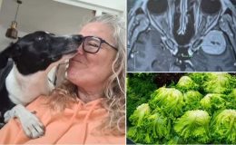 İş Yerindeki Toplantıda Meslektaşlarının Farklı Bir Dil Konuştuğunu Düşünen Kadın Gerçeği Öğrenince Hayatının Şokunu Yaşadı